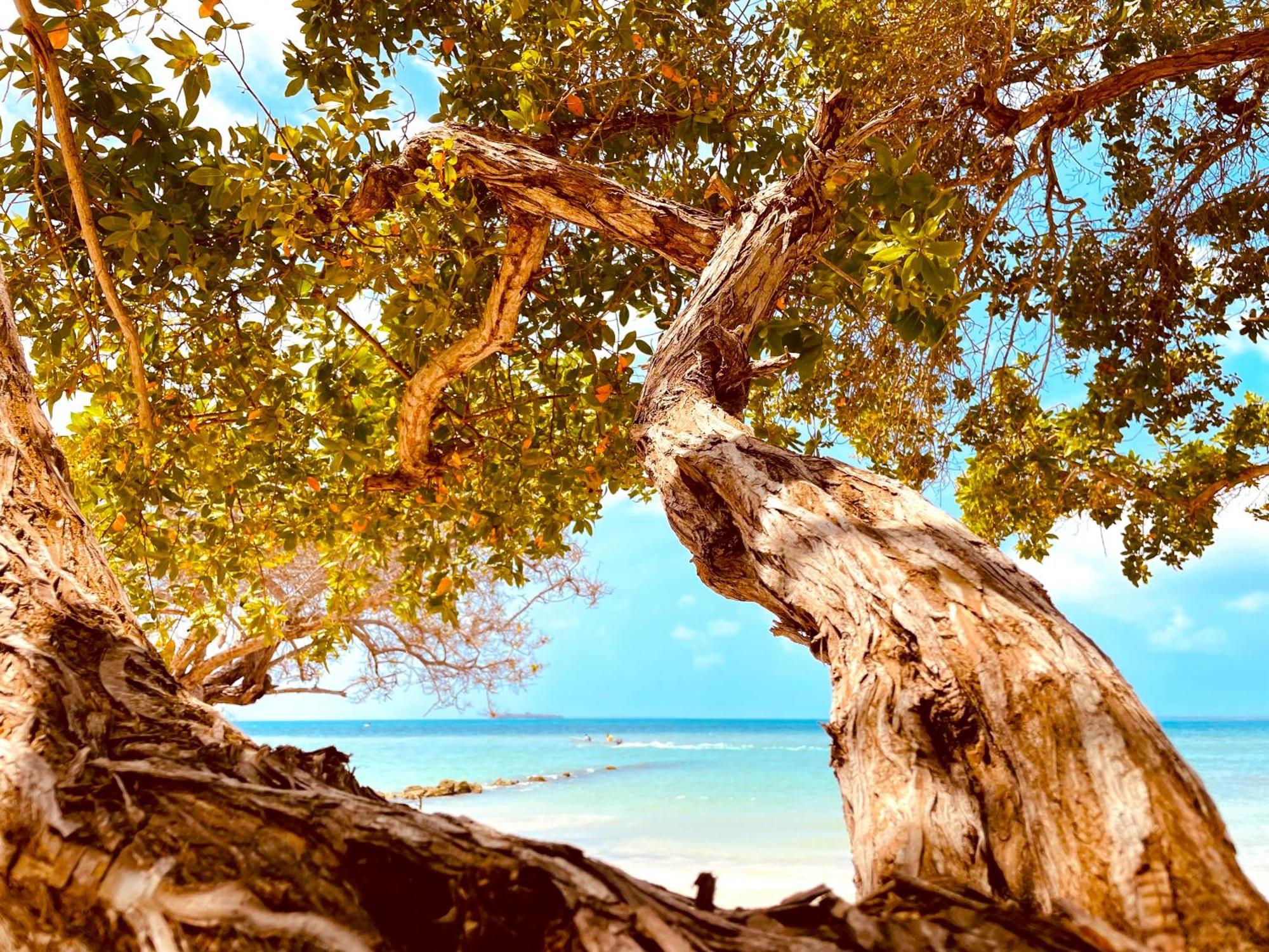 Carey Beach Isla de Baru Exterior foto