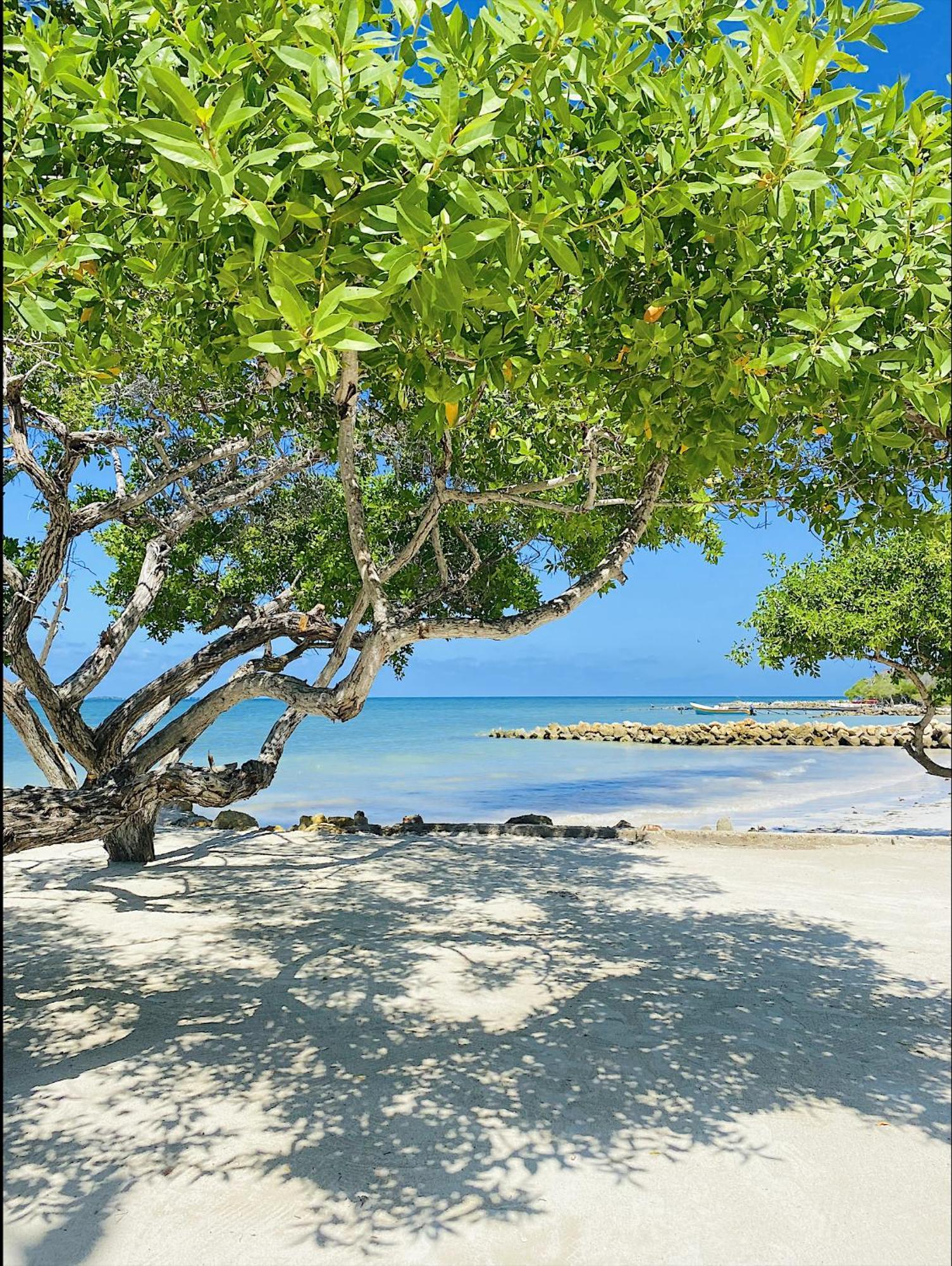 Hotel Carey Beach Isla de Baru Exterior foto